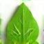 Eco-friendly symbol
